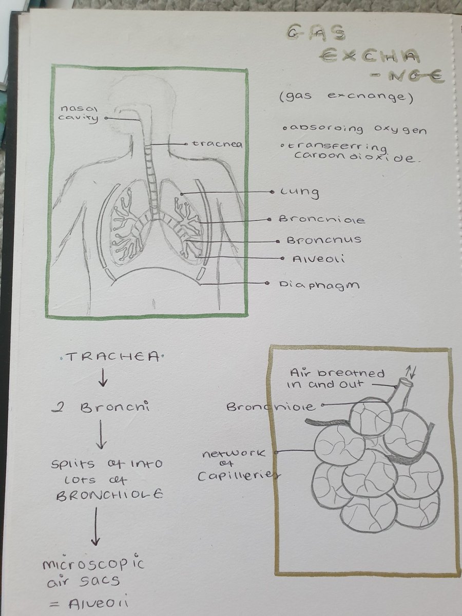 x.codeyyy.x tweet media
