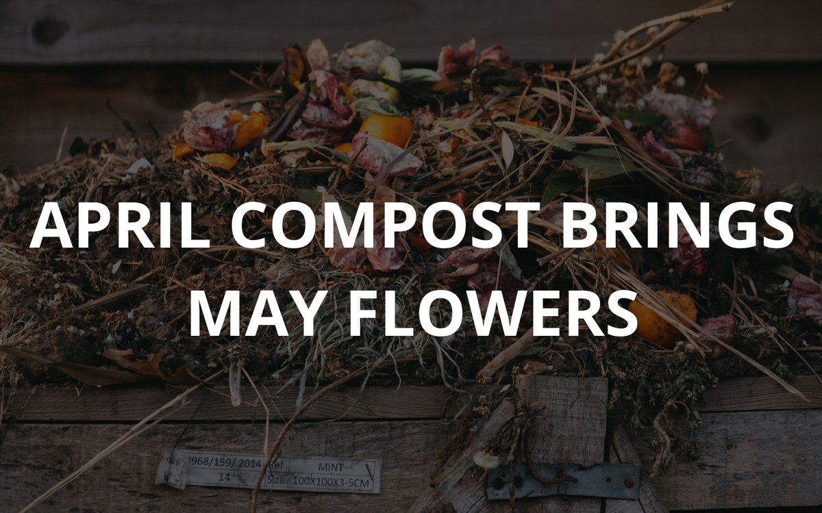 BARCinTC's tweet photo. NEW BLOG ARTICLE!

We are focusing on composting this month! We wanted to feature some amazing local businesses around Northern Michigan and talk about our compostable serviceware and composting services.

https://t.co/QawyQhxYC4 https://t.co/HOG2g4Qrtu