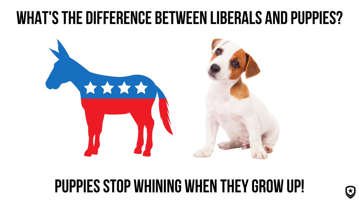 Check out the '7 Ways to Make a Liberal Cry Like a Little Girl' book at PatriotDepot.com!

patriotdepot.com/7-ways-to-make…