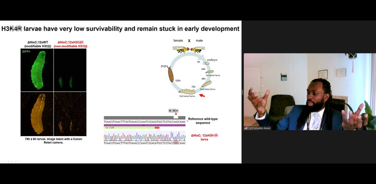 Our last student research talks of the 2020-21 year (and hopefully our last time on Zoom). Since this was a reverse alphabetical year it was up to Cyril Anyetei-Anum @CyrilAnum from <a href="/DMcKay_Lab/">McKay_Lab</a> to send us off in style.