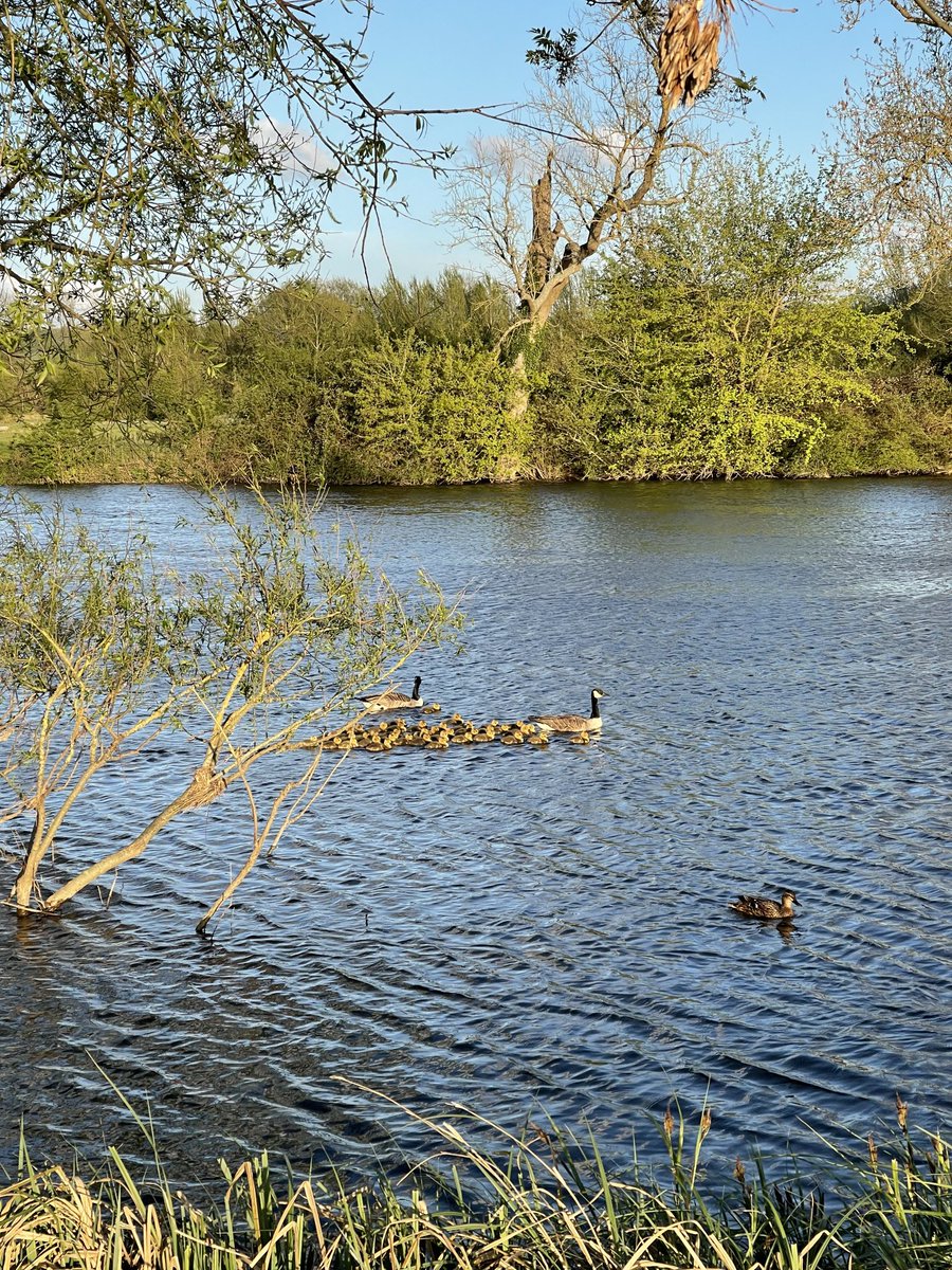 Imagine the food bill 😳