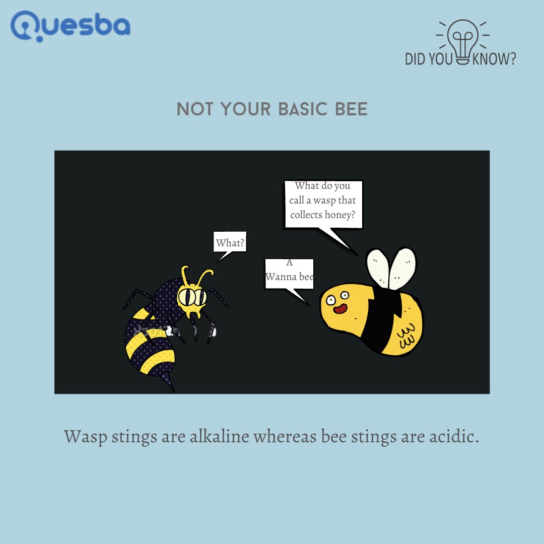 quesba's tweet image. &quot;Science as the Imago of the Future Society&quot;
-Daniel Bell
In biology, the imago is the last stage of metamorphosis and symbolises growth and development. 
#quesba #meme #onlineeducation #science #didyouknow #funfacts #geology #physics #chemistry #geography #biology #palaeontology