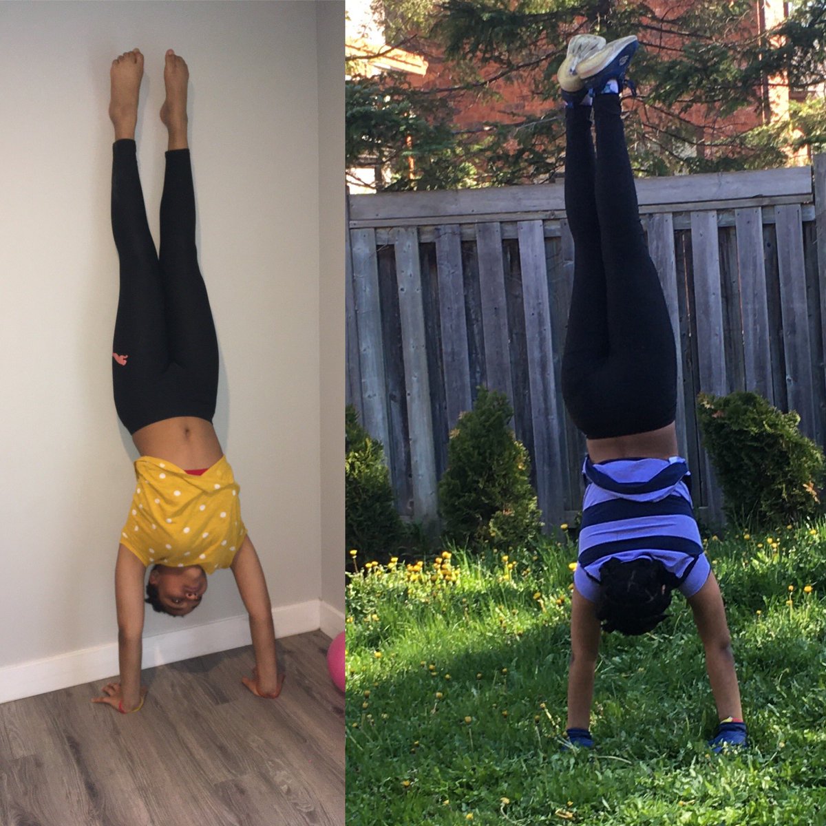 SkateMariposa's tweet photo. Kayla continuing to work on her strength and balance during lockdown! Check out her amazing progression in just 2 weeks, the wall support is no longer needed! Great job Kayla! #mariposaskaterspersevere #mariposatraining #lockdowntraining https://t.co/FBNwothsgb