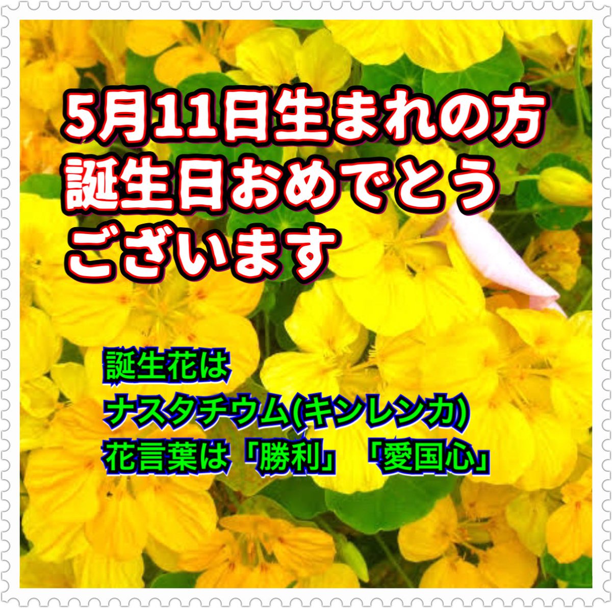 5月11日生まれ 5月11日生まれ