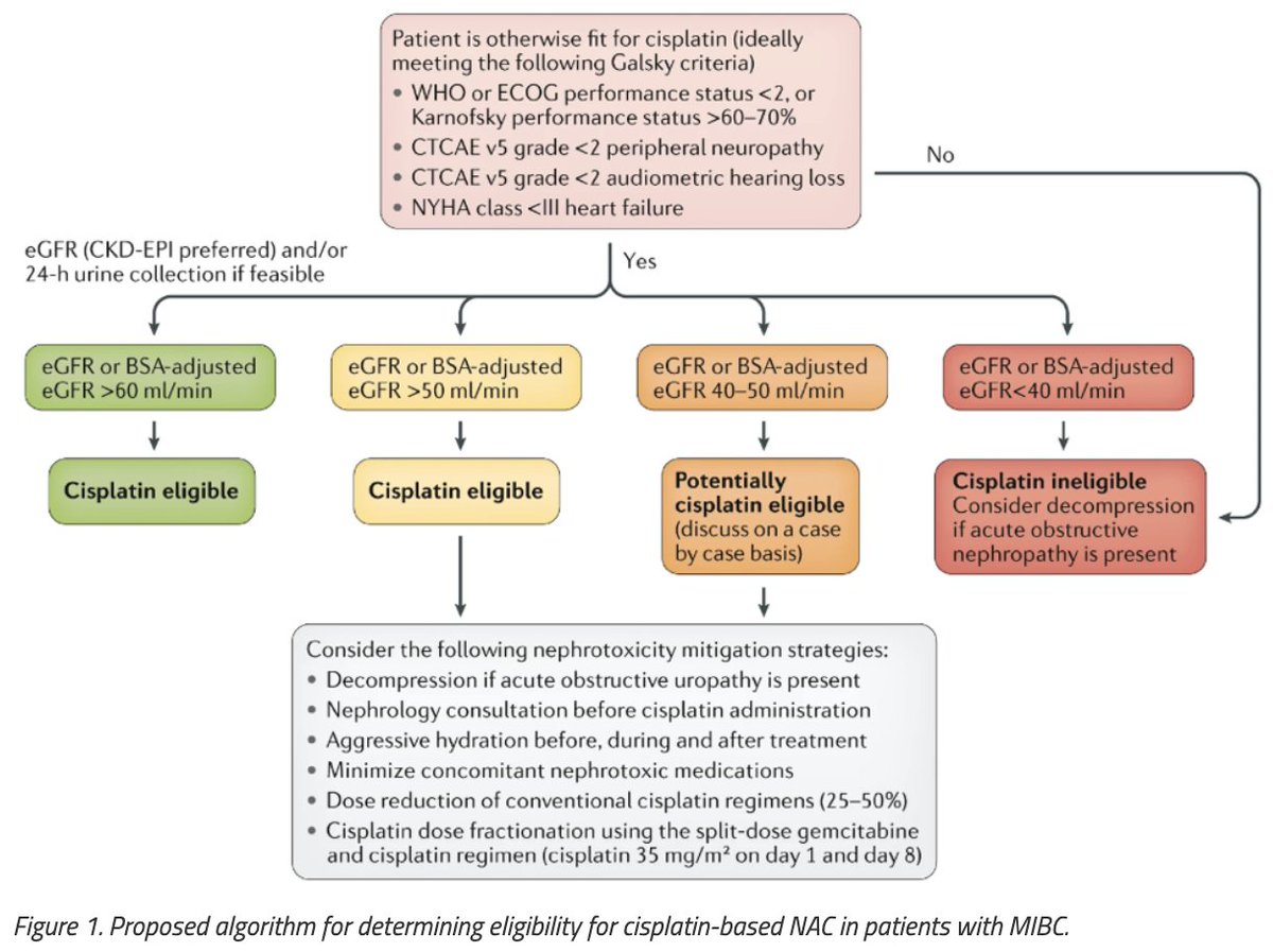 Defining cisplatin eligibility in patients with muscle-invasive #BladderCancer. #BeyondTheAbstract with <a href="/DiMariaJiang/">Maria Jiang</a> and <a href="/kalasri3/">KSridhar</a> <a href="/pmcancercentre/">Princess Margaret Cancer Centre</a>. #ReadNow on UroToday &gt; bit.ly/2Q1fYxO <a href="/NatRevUrol/">Nature Reviews Urology</a>