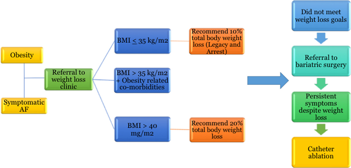#Perspective: Morbidly obese patients with symptomatic #atrialfibrillation: Why are we holding back on bariatric surgery?ow.ly/D6Bp50EJe0S #AHAJournals @mohitasingh13