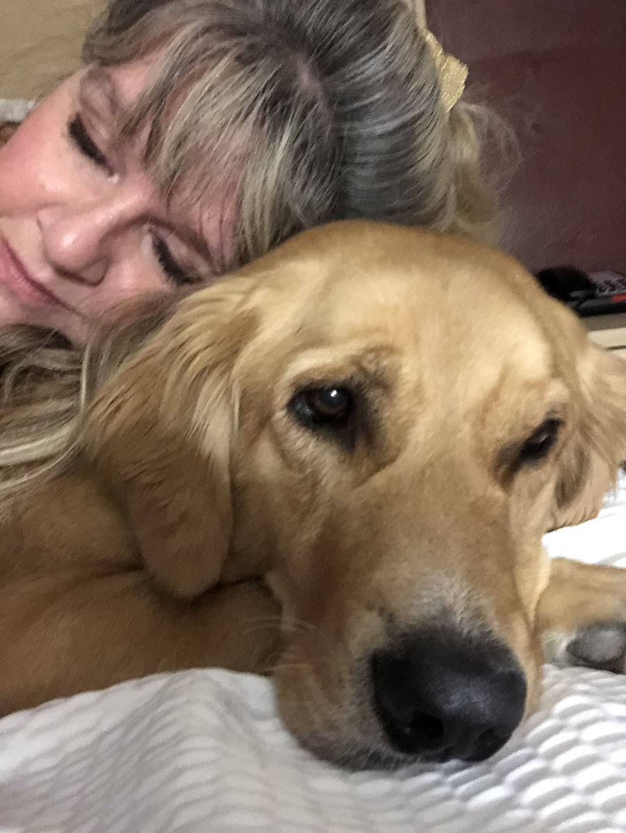 Paddyspurpose01 tweet media