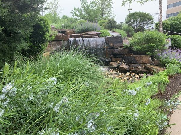 SFP_Landscaping's tweet photo. How relaxing is this space? We applaud St. Mary's Hospital for providing this amazing tranquil garden for their patients and employees, and we thank them for allowing us to maintain it's beauty.  @SSMHealthMidMO  #beauty #relaxing #landscaping #onewithnature https://t.co/VuppoGIVQJ