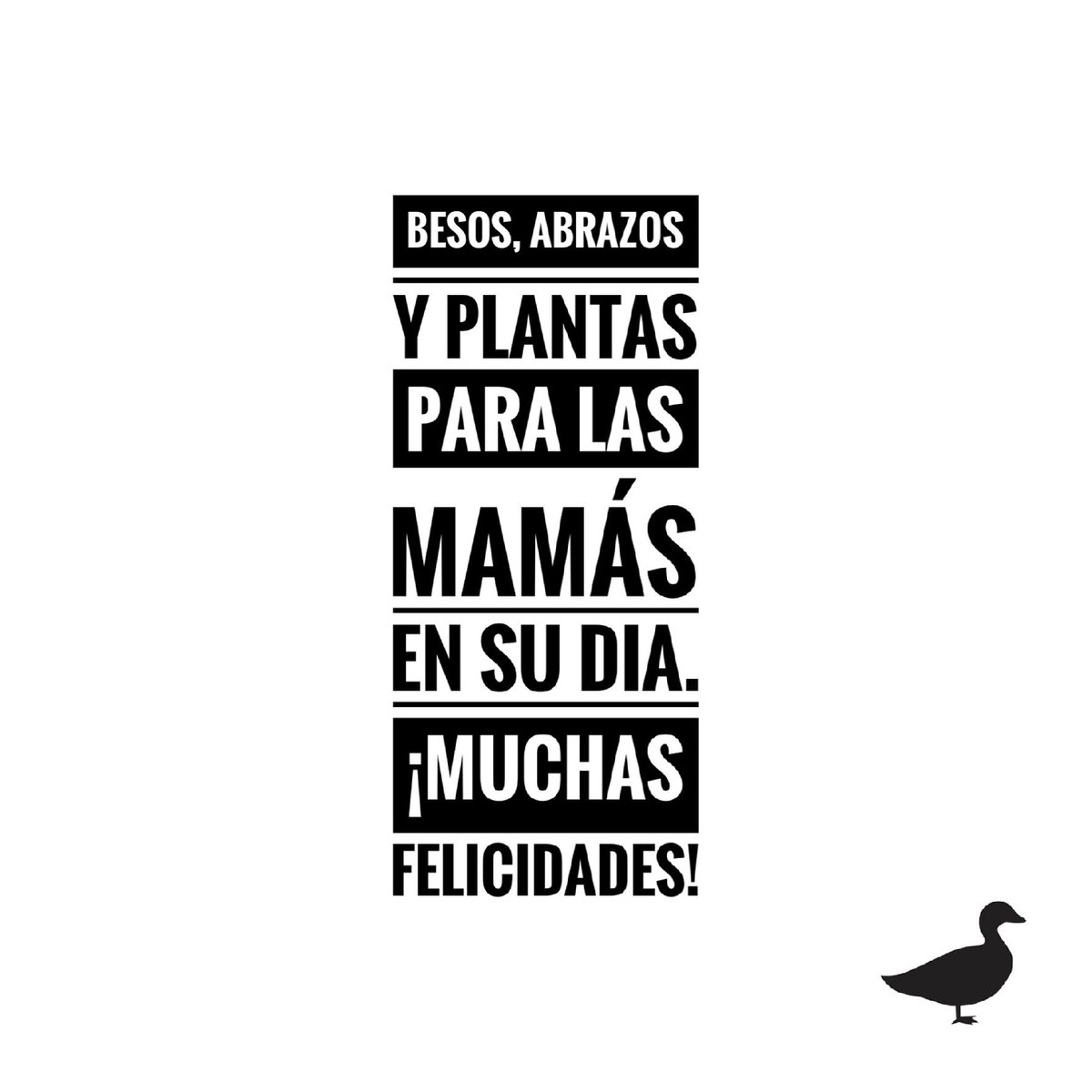 #FelizDiaDeLasMadres