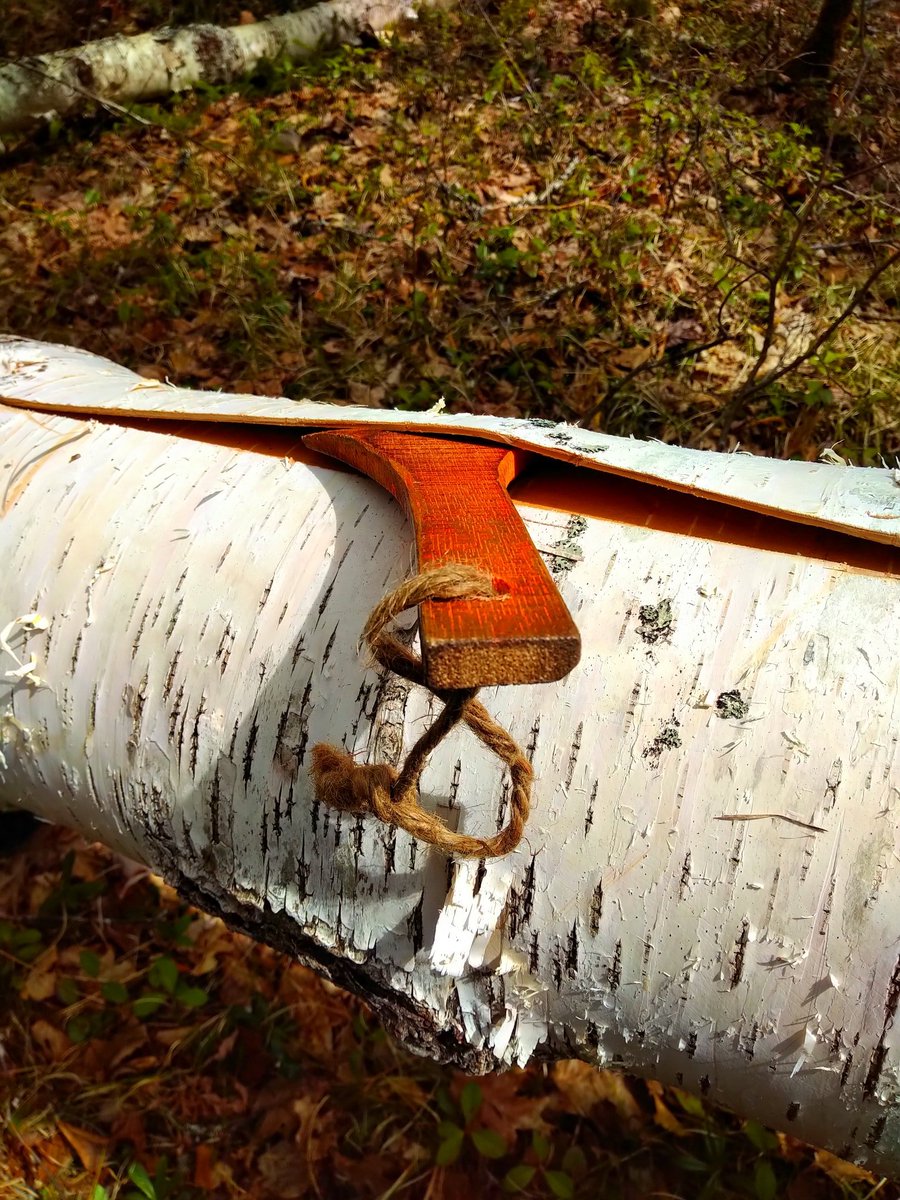 Mel7Labrador's tweet photo. Not a bad few hours. Scouting for #birchbark.
No #bears.
Tons of flies.
#Kespukwitk #mikmaq #indigenous #labradorfamily #wikuom #canoe #builders
@toddlabrador77 https://t.co/ZOTLEddD54