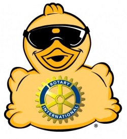 Leyland_Rotary's tweet image. Our Annual Duck Race this year is virtual this year! Ducks cost £2.50 each. Racing starts 12 noon 28th May and finishes 12 noon 31st May.
All proceeds go to local charities.
Duck tickets can be purchased using the link:
balloonrace.com/LeylandRotary
@StCatherinesPre @DerianHouse