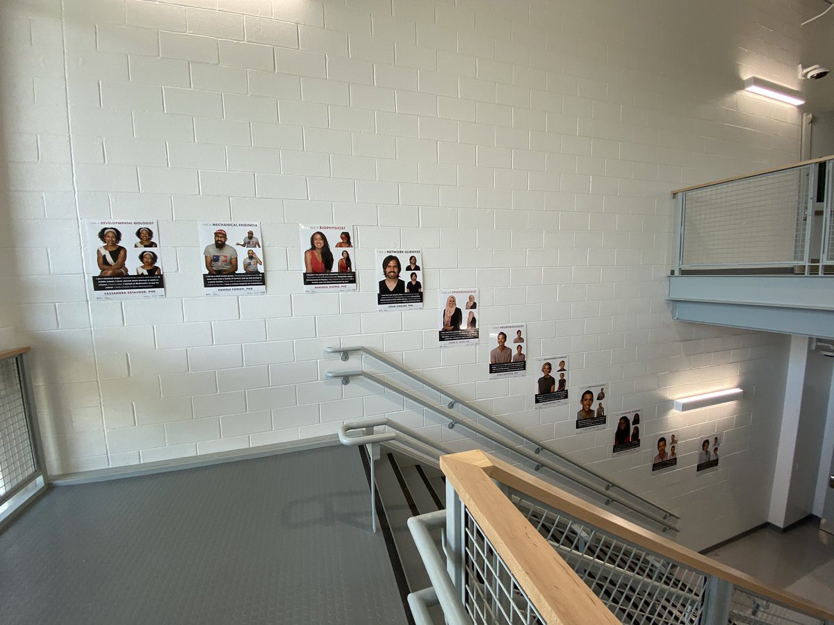 Ashley Newman tweet media