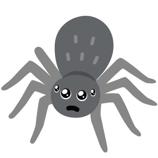 ClareRogerson's tweet photo. @MrsPatonQP @QueensCoEURC @MissCordenQP @MrsCadamyQP Incy wincy spider 🕸️ https://t.co/6pF5MsDNqM