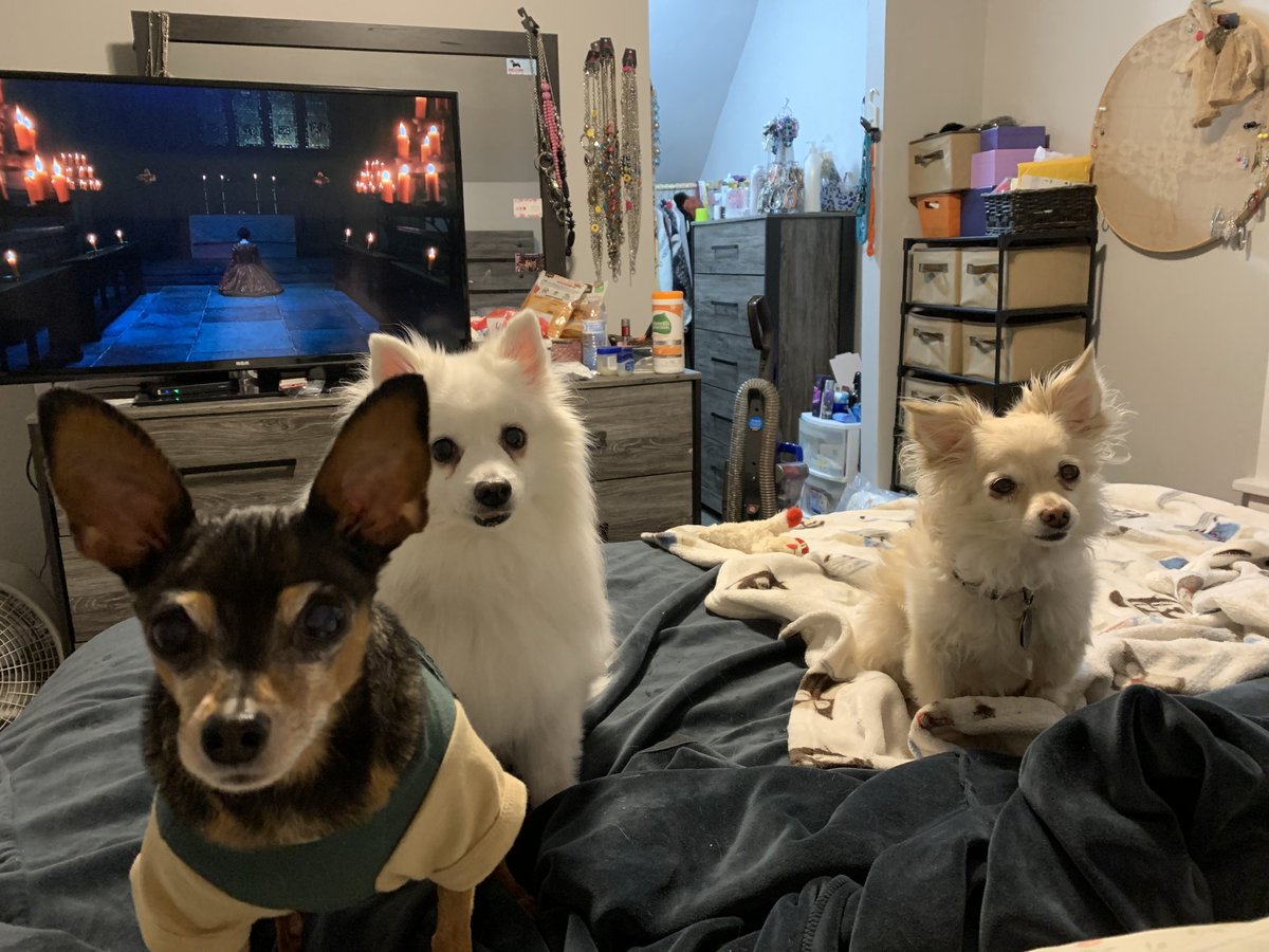 att_us's tweet photo. #BCSSFamily #BCSSMothersDay #DogMom https://t.co/NOumuLQI22