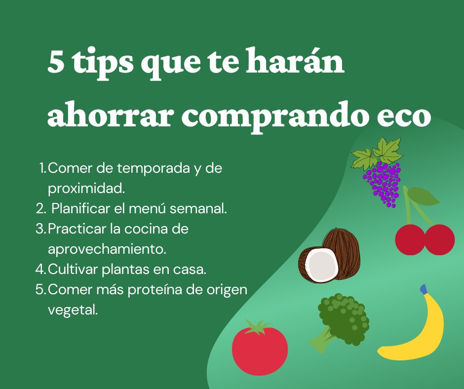 Hoy te traemos 5 tips para comer productos ecológicos y poder ahorrar.

#Alimentoseco #Tipseco #TiendaEcoMadrid