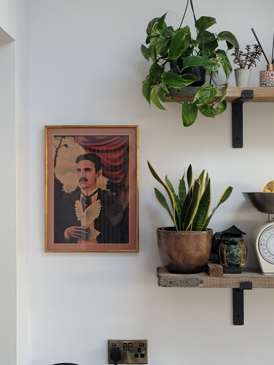 Damien C. Sayell tweet media