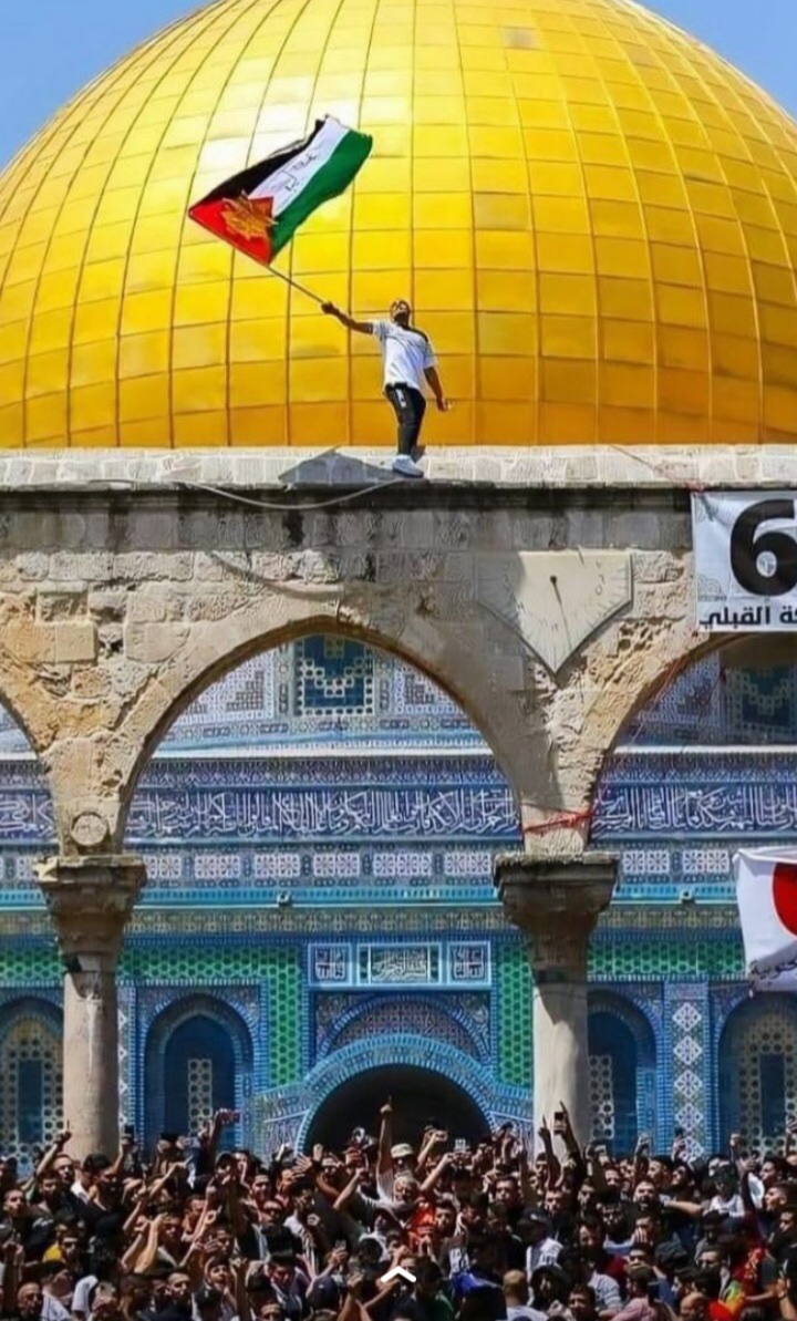 562bf1265739494's tweet photo. نحن الذين ولدنا وكانت أصواتنا الطفوليّة تتهافت ب: "فلسطين بلادنا، واليهود كلابنا." 🇵🇸🇵🇸🇵🇸🇵🇸
#انقذوا_حي_الشيخ_الجراح 
#فلسطين #غزة_تحت_القصف #غزة #FreePalestine  #Gaza #GazaUnderAttack https://t.co/nRxJC4TXZT