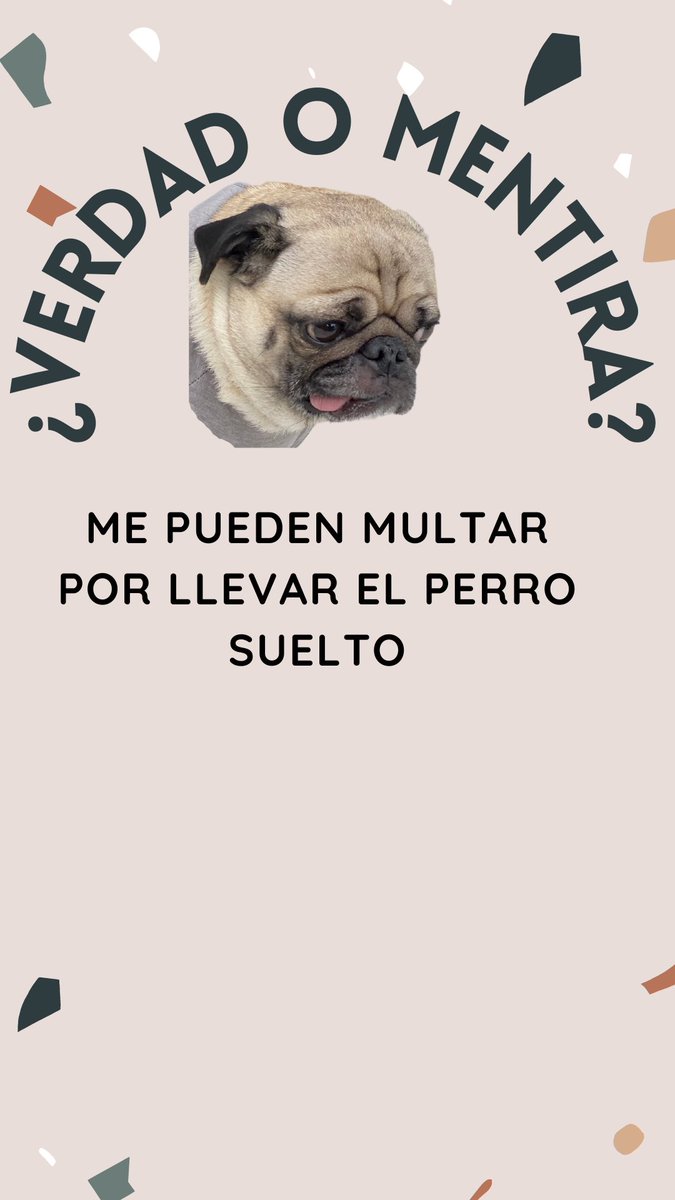 pugcrush's tweet photo. Puedes pasear con el perro suelto? Depende del tamaño? De la raza? En ningún caso? #cosasdeperros #legalidadperros #amorperro #vidaperra #mundoperro #amigosdelosperros https://t.co/mRjdgIYcHp