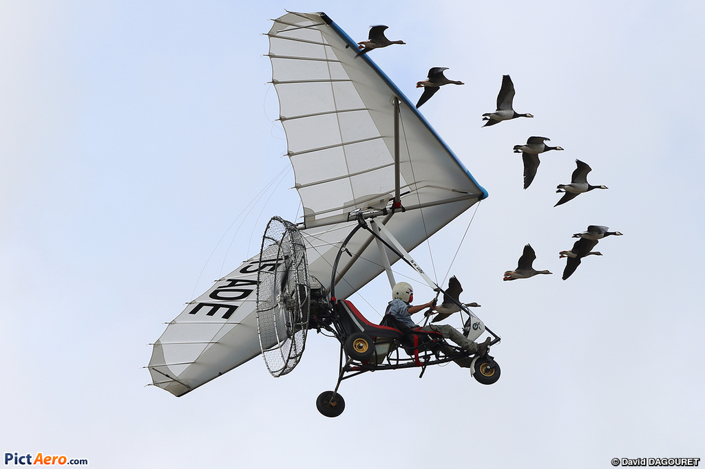 Globe_Spotter's tweet photo. Christian Moullec et ses oies durant un vol à Roanne en 2018. https://t.co/mm5NxmIcGo
@FFfplum @aerowebfrnet @pictaero #ULM #ulmgeeks #pendulaire #Roanne https://t.co/wK9on1yrHE