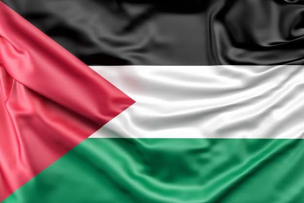 slimaniislam's tweet image. Free Palestine 🙏🏻🙏🏻🙏🏻#FreePalestine