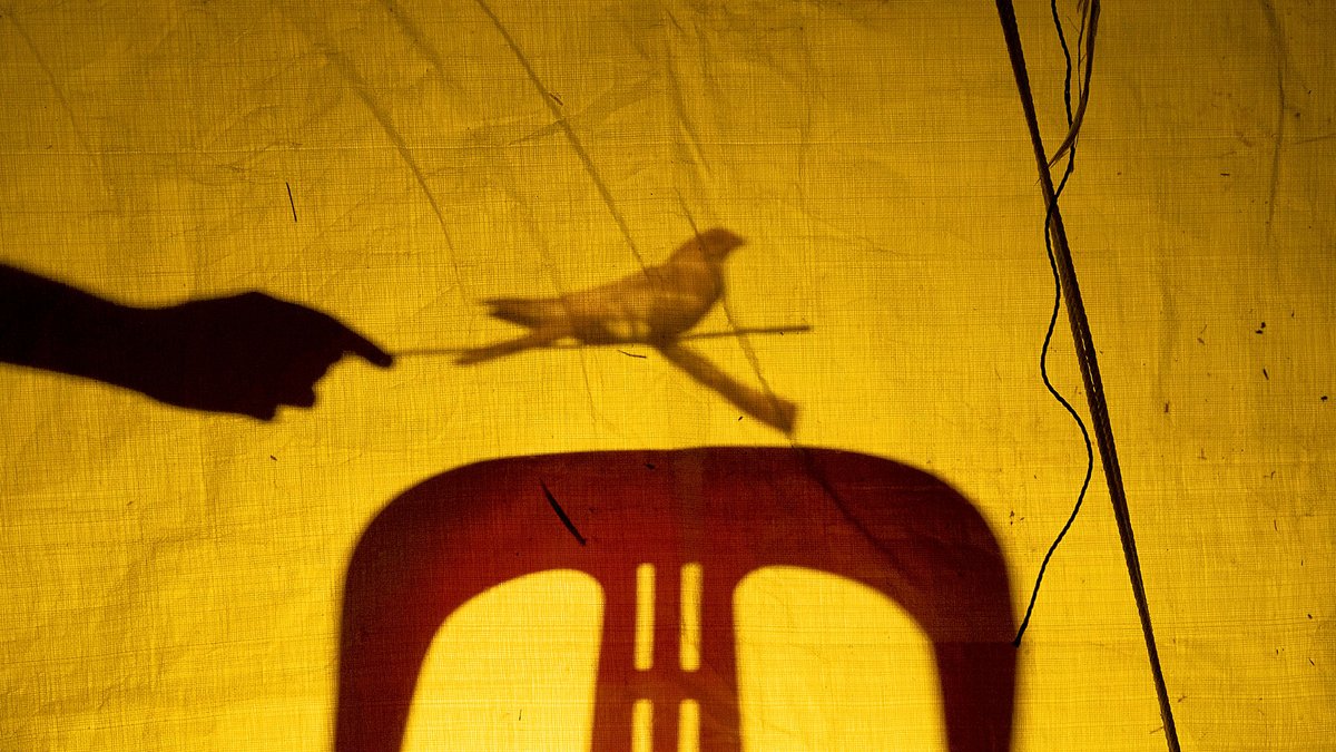 At 67th Oberhausen International Short Film Festival (<a href="/kurzfilmtage/">kurzfilmtage</a>), the #criticsjury followed the traditional competition program. #FIPRESCIPrize: "{if your bait can sing the wild one will come} Like Shadows Through Leaves" by Lucy Davis (Singapore, Finland, 2021).