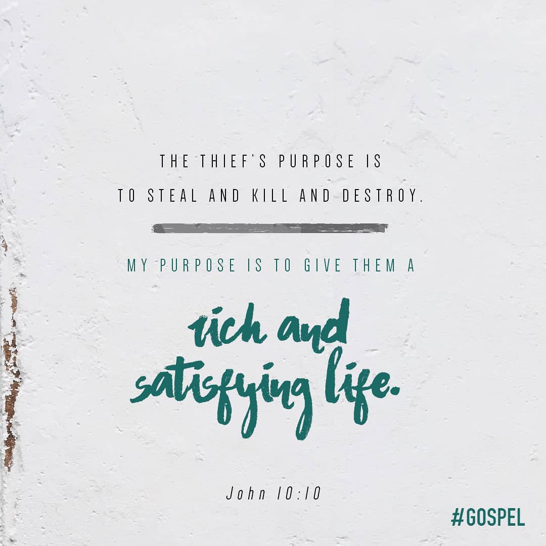 hashtag_gospel's tweet photo. #lifeabundant #RedeemedLife #Jesus #Gospel https://t.co/mZZ1ju2EB6