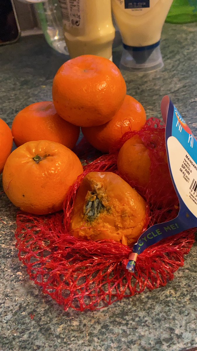 Zoe Allcorn tweet media