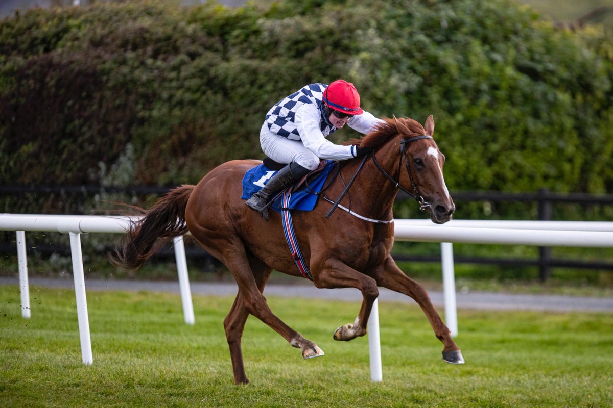 Dave Keena Racing on X: Great feature in the @TheIrishField today