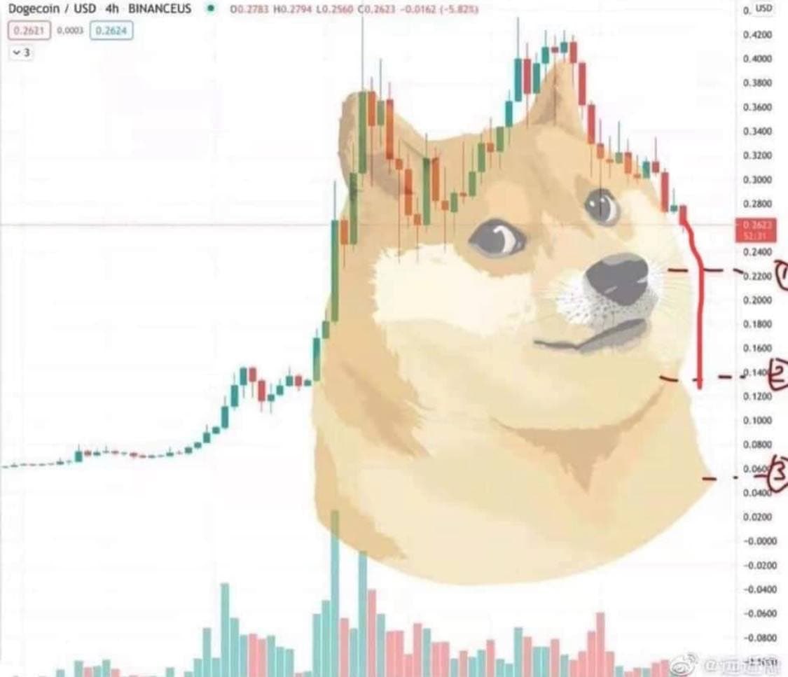 TeloMemeces's tweet photo. Downgecoin #dogecoin #downgecoin https://t.co/FolCrucXg9