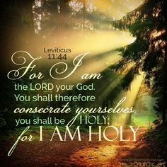 JulieParker144's tweet photo. Isaiah 52:1
Awake, awake; put on thy strength, O Zion; put on thy beautiful garments, O Jerusalem, the holy city: for henceforth there shall no more come into thee the uncircumcised and the unclean.
#holiness #holy #God #Jesus #Bible #scripture #hope #faith #salvation #Uplif https://t.co/BpQaisf7MA