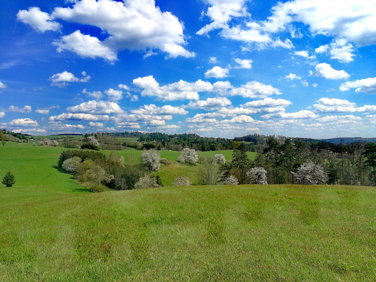 MarieMatusu's tweet photo. Heavens garden... Vysočina v okolí hradu Lísek u Stříteže.... Krása... která vás chytne u ❤️ #krajvysocina #vysocina #ilovevysocina #NaturePhotography #amateurphotographer https://t.co/dQIxgG5w4j
