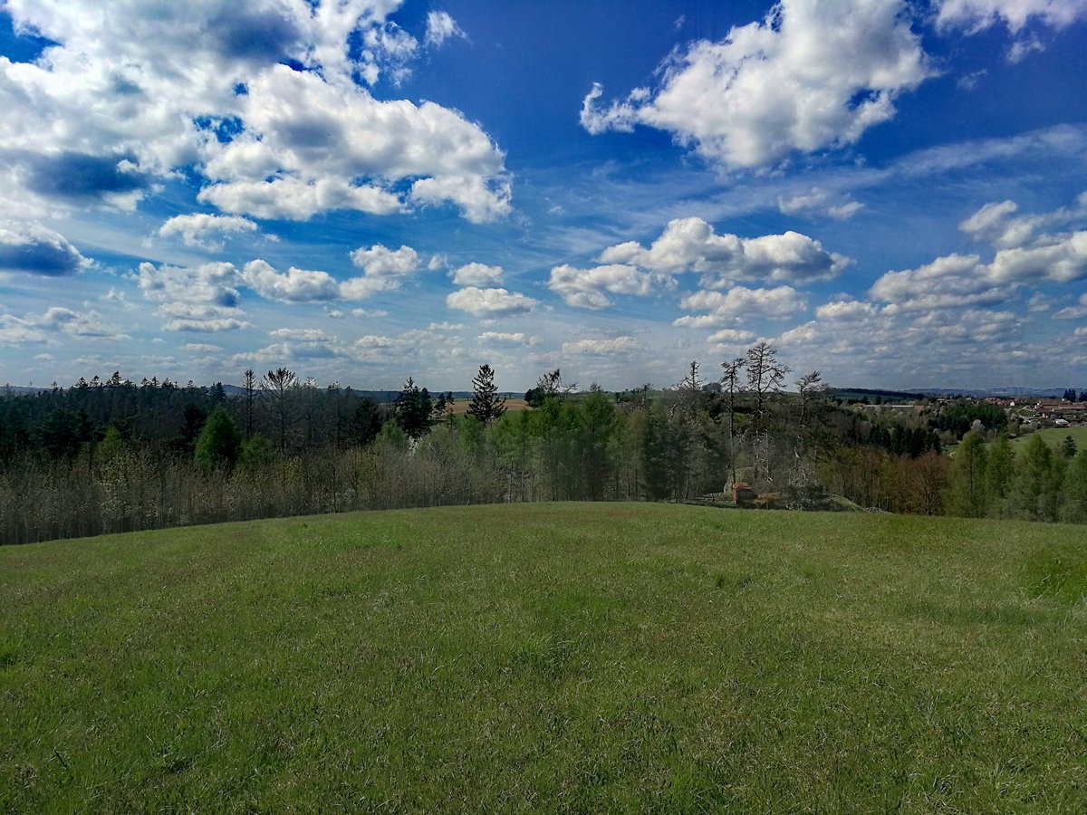 MarieMatusu's tweet photo. Heavens garden... Vysočina v okolí hradu Lísek u Stříteže.... Krása... která vás chytne u ❤️ #krajvysocina #vysocina #ilovevysocina #NaturePhotography #amateurphotographer https://t.co/dQIxgG5w4j