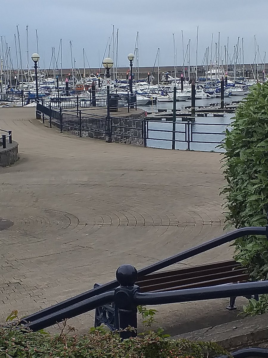 KarenDouglas_NI's tweet photo. Great to see these steps cleansed as they are a gateway to #Pickie & #BangorMarina Thanks to @ANDborough officers for responding to my request #BangorByTheSea ππ https://t.co/H1KAyCXfDC