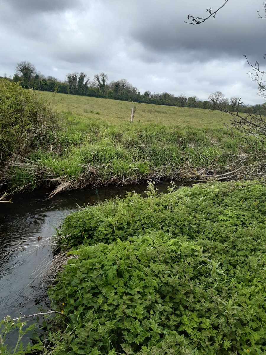 Noreen McLoughlin (@noreenmcl) on Twitter photo Water sampling done and results uploaded for sites around Edgeworthstown, Co Longford. <a href="/DCUWater/">DCU Water Institute</a> #WaterBlitz Water sampling done and results uploaded for sites around Edgeworthstown, Co Longford. <a href="/DCUWater/">DCU Water Institute</a> #WaterBlitz