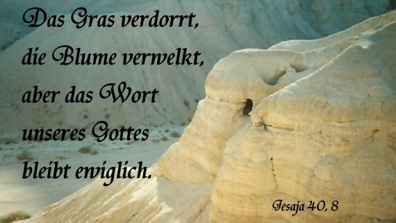 Jesusliebtdich's tweet photo. Das #Gras verdorrt, die #Blume verwelkt, aber das Wort unseres #Gottes bleibt #ewiglich.
#Jesaja 40,8

#Bibel #Zitat #Qumran #Höhlen #TotesMeer #Israel 🇮🇱 https://t.co/k04pCJqDJ6