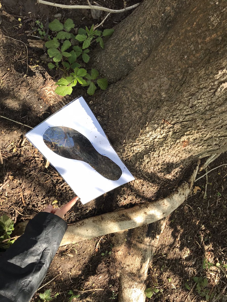 MrsBatemanFS's tweet image. Year 3 and 4 became nature detectives today as part of @CRESTAwards