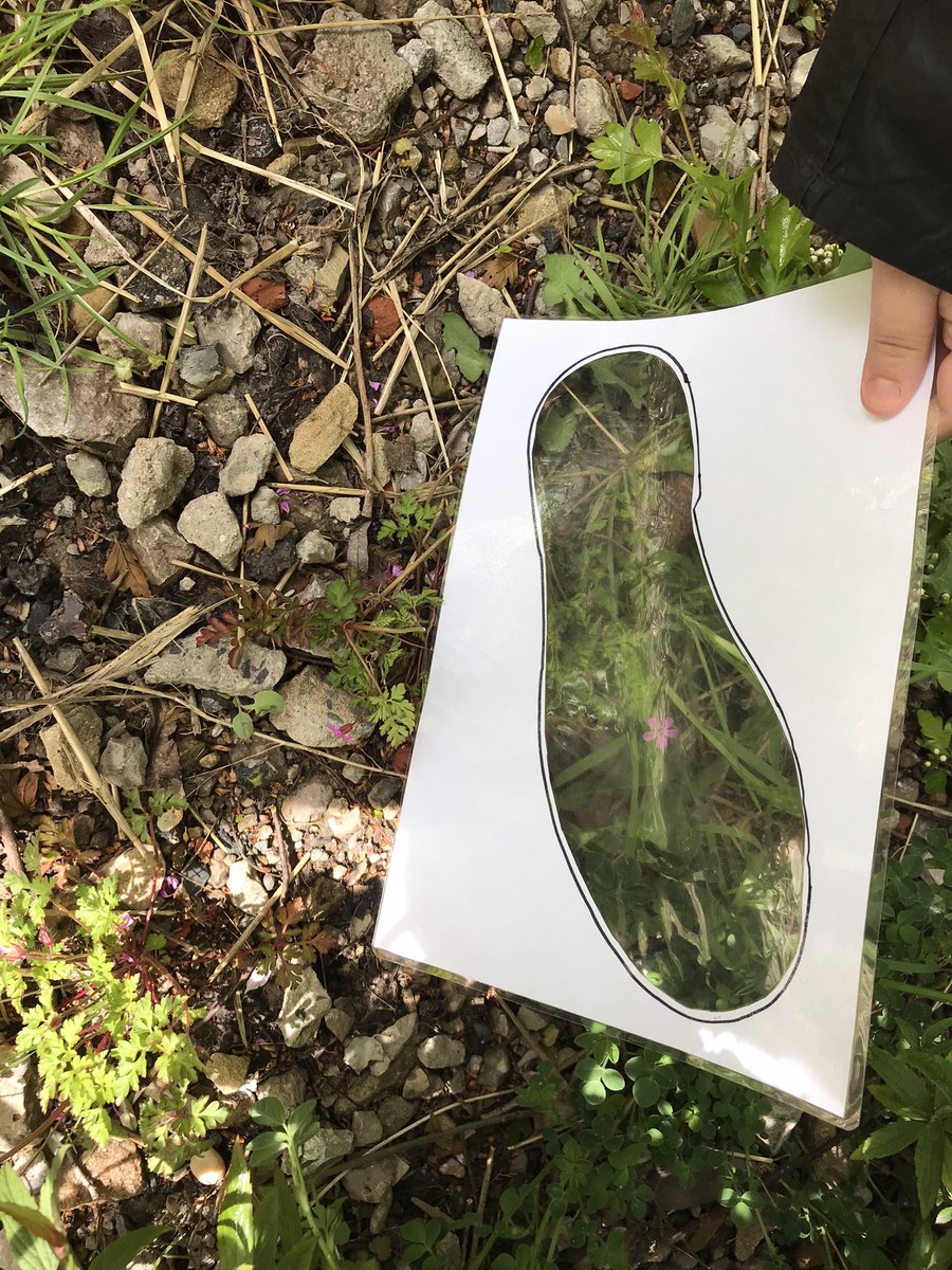 MrsBatemanFS's tweet image. Year 3 and 4 became nature detectives today as part of @CRESTAwards