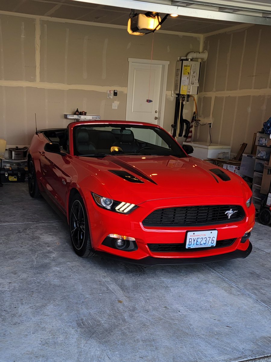 PopSquisher's tweet photo. Washington weather finally giving me a day where I can take her out. https://t.co/YrirDibCnf