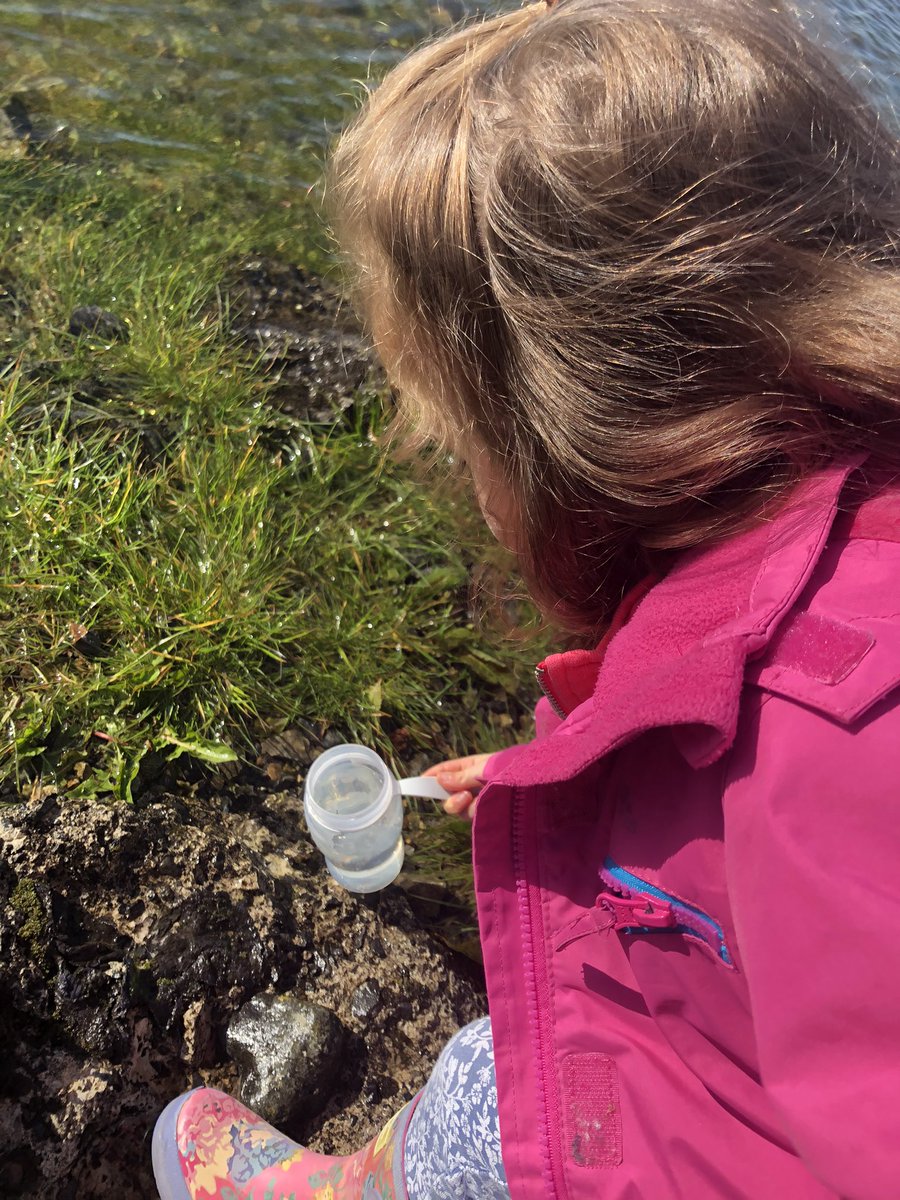 Anna Rafferty tweet media