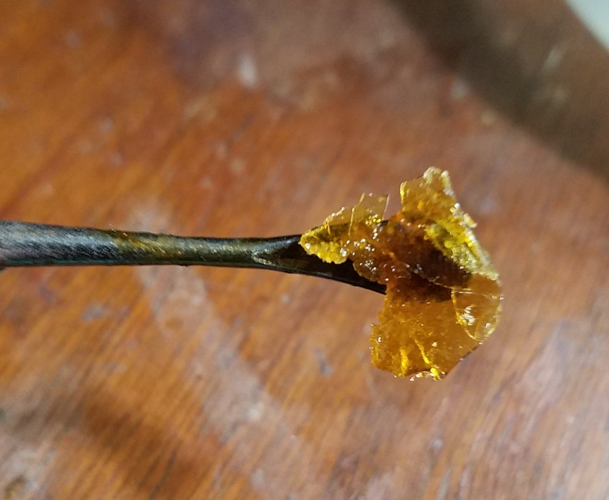 PdxRapunzel's tweet photo. When in the Dab Lounge.... #Mmemberville #StonerFam #CannabisCommunity #nosuchthingasasmalldab #DabLounge #shatter https://t.co/VgELNYZJF6