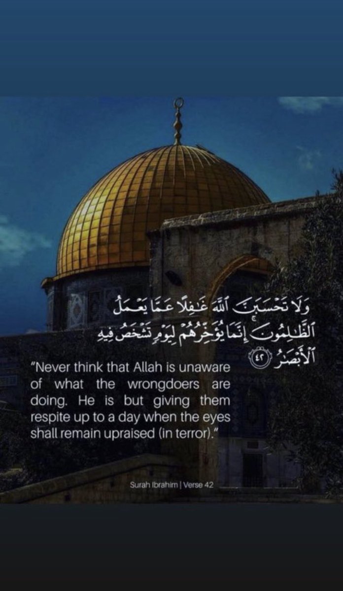 sa (@bouhaimed) on Twitter photo 