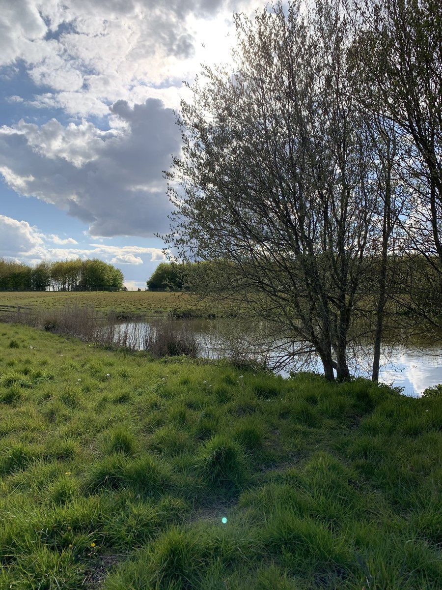 CricketsStf's tweet photo. This evening I walked my dog for #MarchinMay, what did you do? Look at what I spotted!! @StFaithsTweets #enjoyspring #getoutandabout https://t.co/mbuRi6PzTL