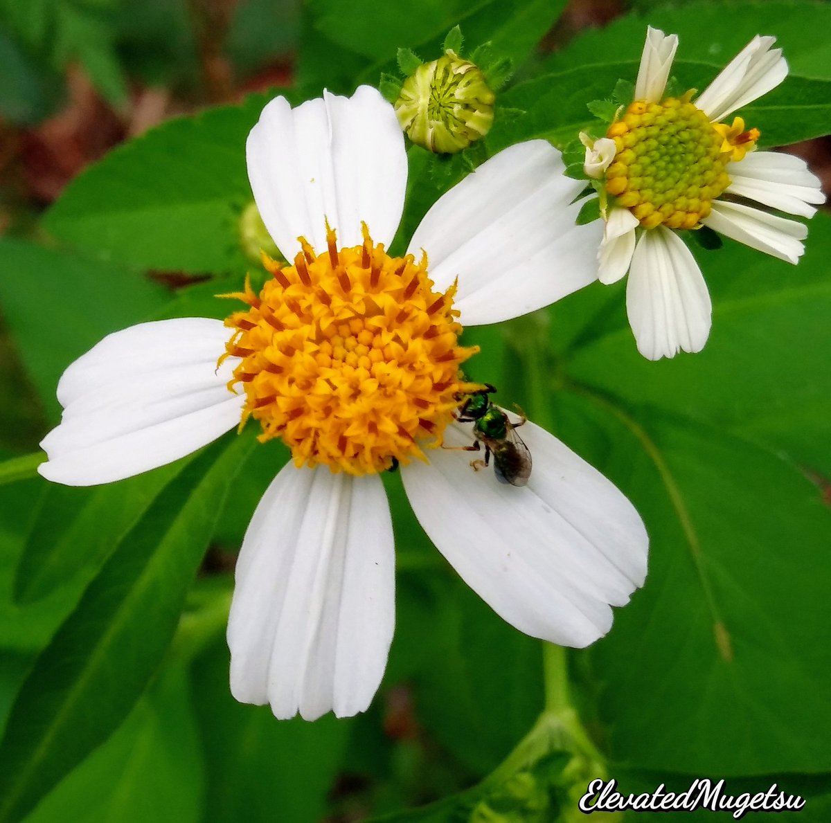 mugetsu42069's tweet photo. @Snapdragon @RyanResatka All #ShotOnSnapdragon with #LGG7ThinQ https://t.co/Z1dhloMEnt
