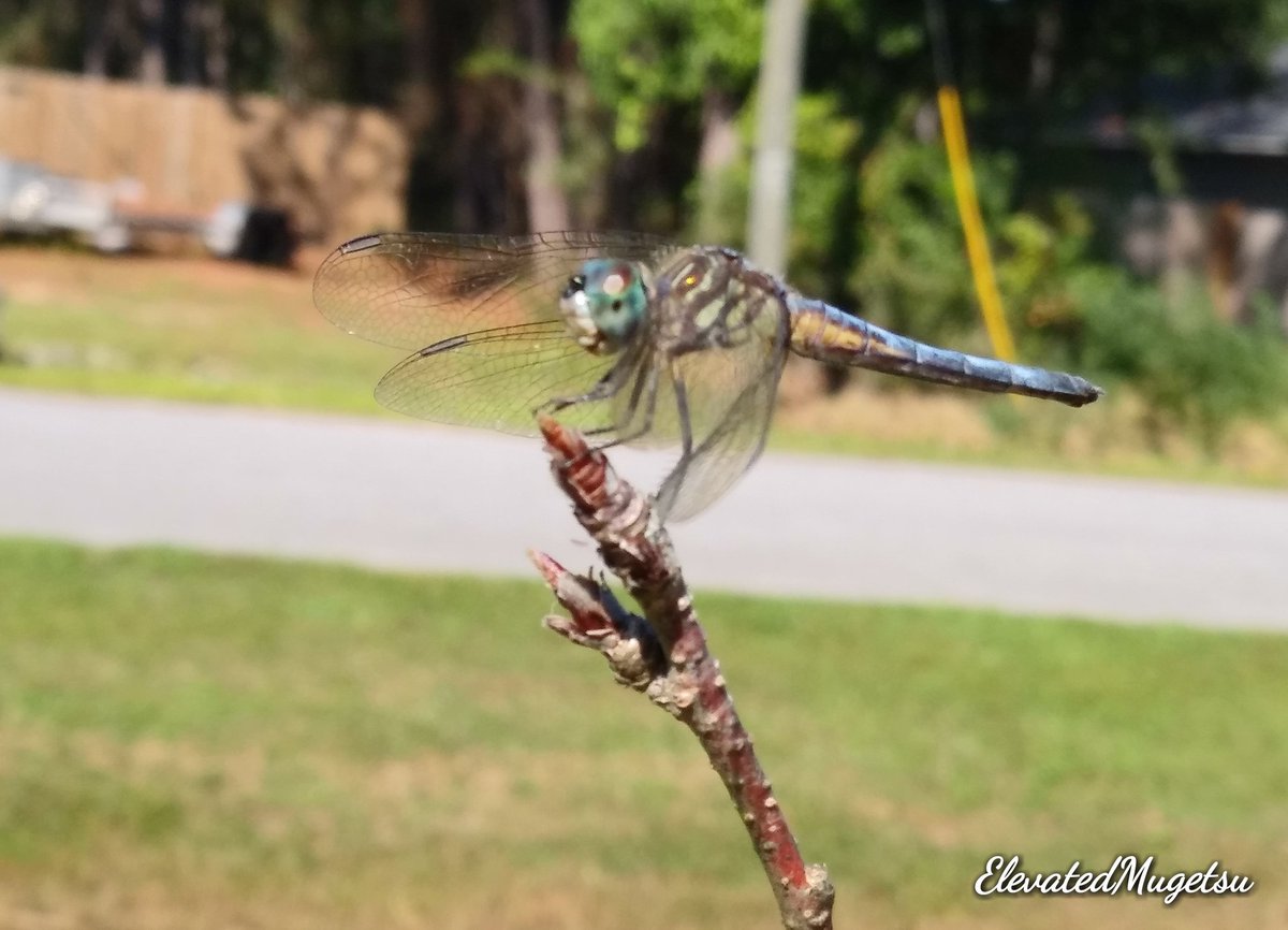 mugetsu42069's tweet photo. @Snapdragon @RyanResatka All #ShotOnSnapdragon with #LGG7ThinQ https://t.co/Z1dhloMEnt