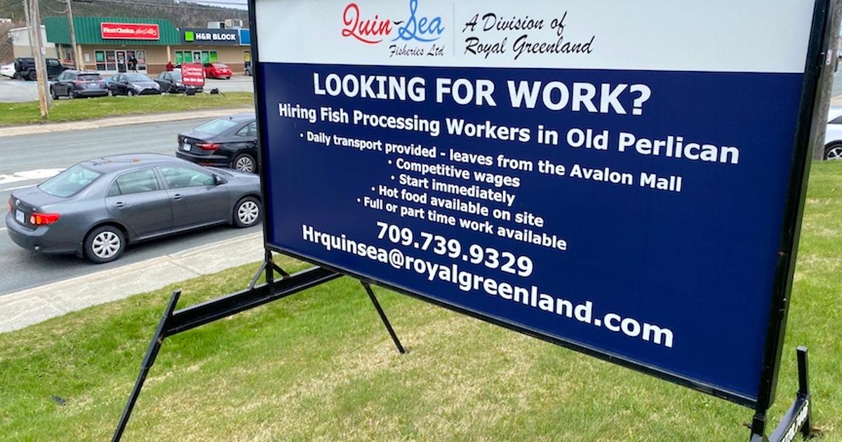 StJohnsTelegram's tweet photo. Seafood plants in N.L. seeking workers but is easier access to EI during COVID creating disincentive? https://t.co/ACmMISXWnW https://t.co/2TnN5k6ANd