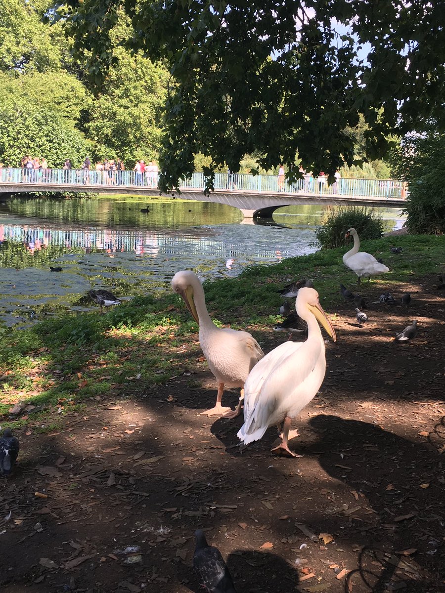 keynes425's tweet photo. #MentalHealthAwarenessWeek 💕🌸 #nature https://t.co/uxMsYHf5Yf