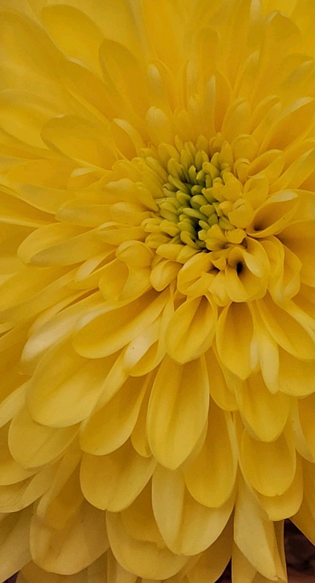 Sumando y viviendo la armonía de estar juntos