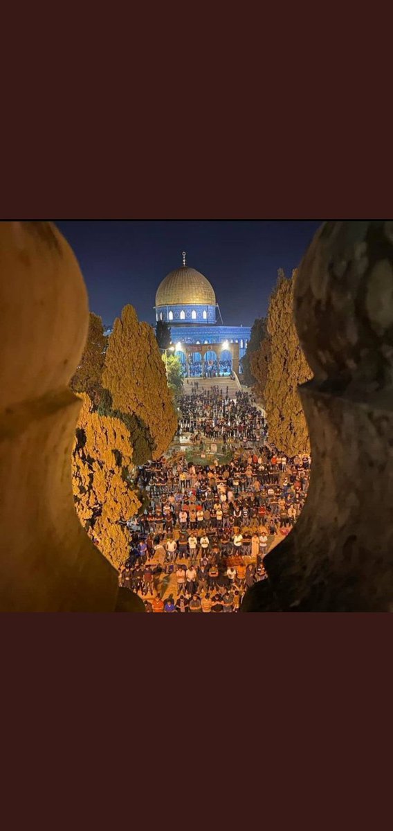 #tbmmkudüsiçintoplansın 
#AksayaBaskınVar       
#AksayaOrdu               
#Aksa                               
#Terroristisrail               
#RTErdogan 
#Suleymansoylu