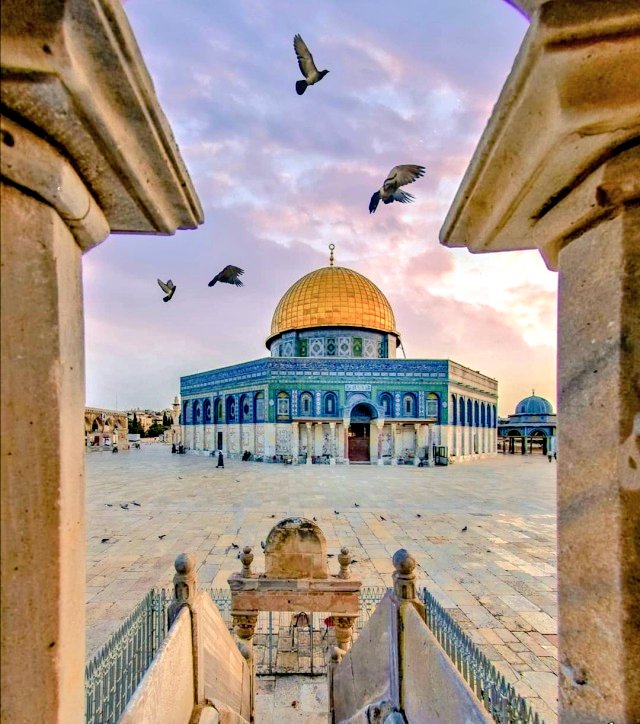 Kudüs bizler için, Selahaddin’in rüyası, Kanuni’nin mirâsı, Abdülhamid’in davasıdır..

#AksadaBaskınVar #MescidiAksaOnurumuzdur 
#MescidiAksa