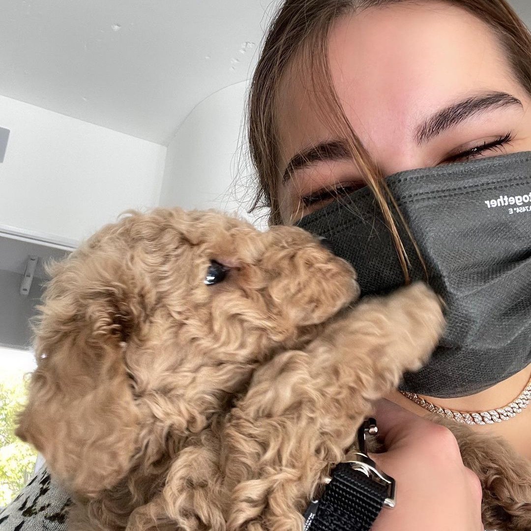addsonree's tweet photo. addison rae with the dogs is so cute. they are the most sincere &amp; pure beings https://t.co/CMnITLj2g4